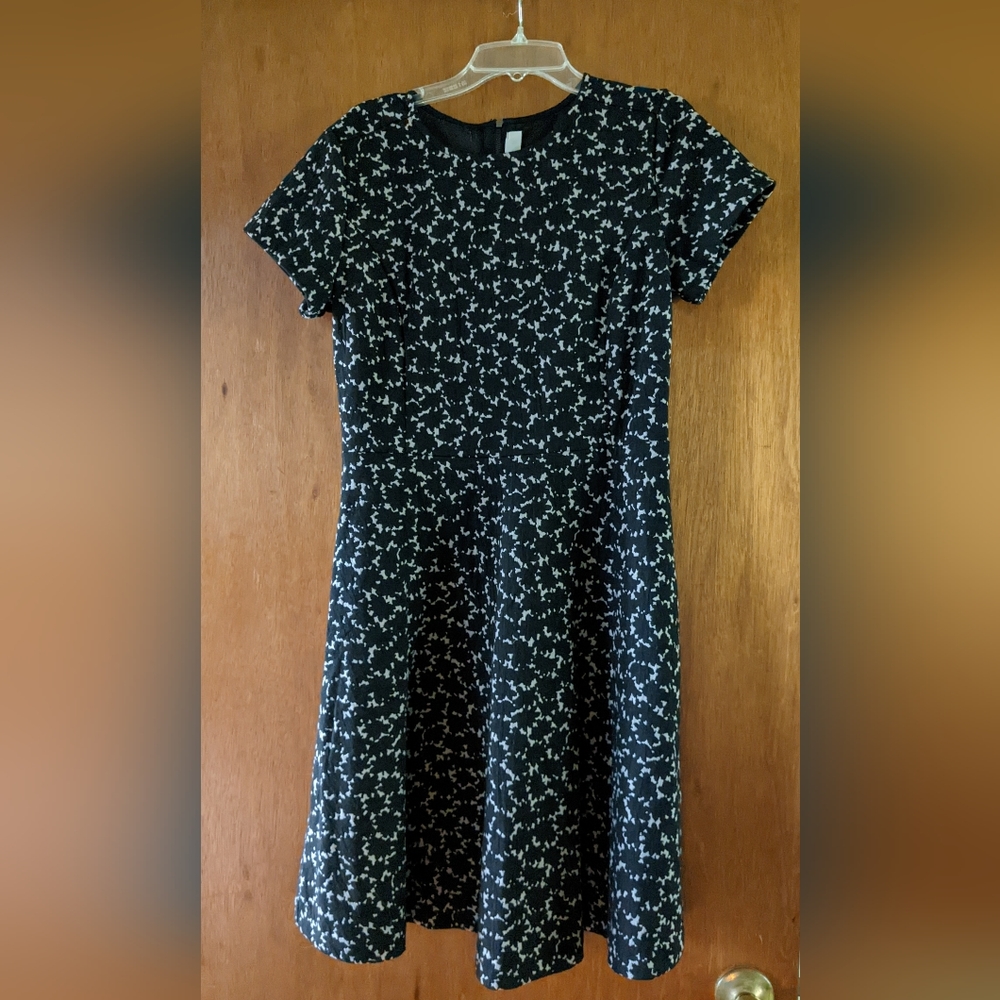 LOFT Short Sleeved  Lace Layered- look  Dress